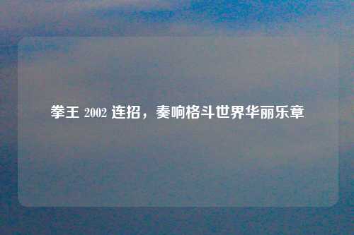 拳王 2002 连招,奏响格斗世界华丽乐章