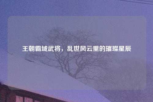 王朝霸域武将,乱世风云里的璀璨星辰