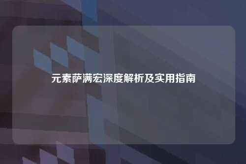 元素萨满宏深度解析及实用指南