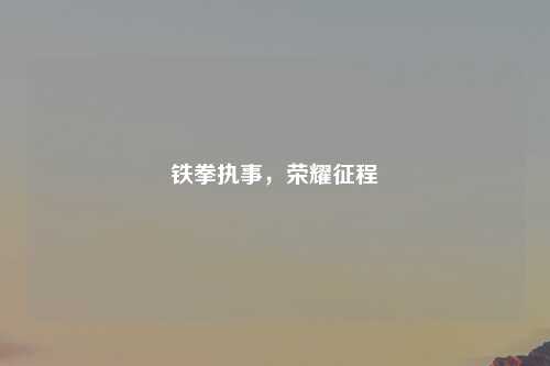 铁拳执事，荣耀征程