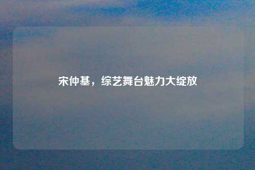 宋仲基，综艺舞台魅力大绽放