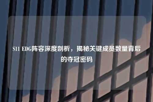 S11 EDG阵容深度剖析，揭秘关键成员数量背后的夺冠密码