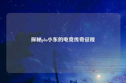 探秘plu小东的电竞传奇征程